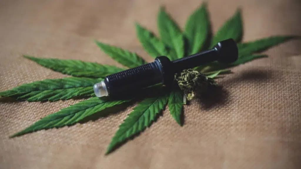 Warum THCA Vape Deutschland immer beliebter wird: Qualität, Reinheit und authentisches Erlebnis