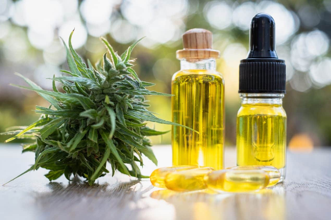 Cannabisöl zum Einreiben statt zum Rauchen: Cbdladen bringt medizinische Alternativen nach vorn