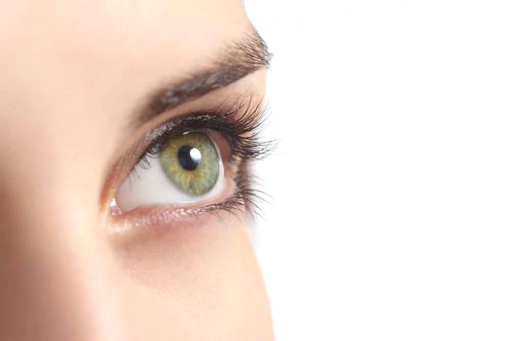 LashLink präsentiert Elan Lamination – Die perfekte Wahl für perfekte Wimpern